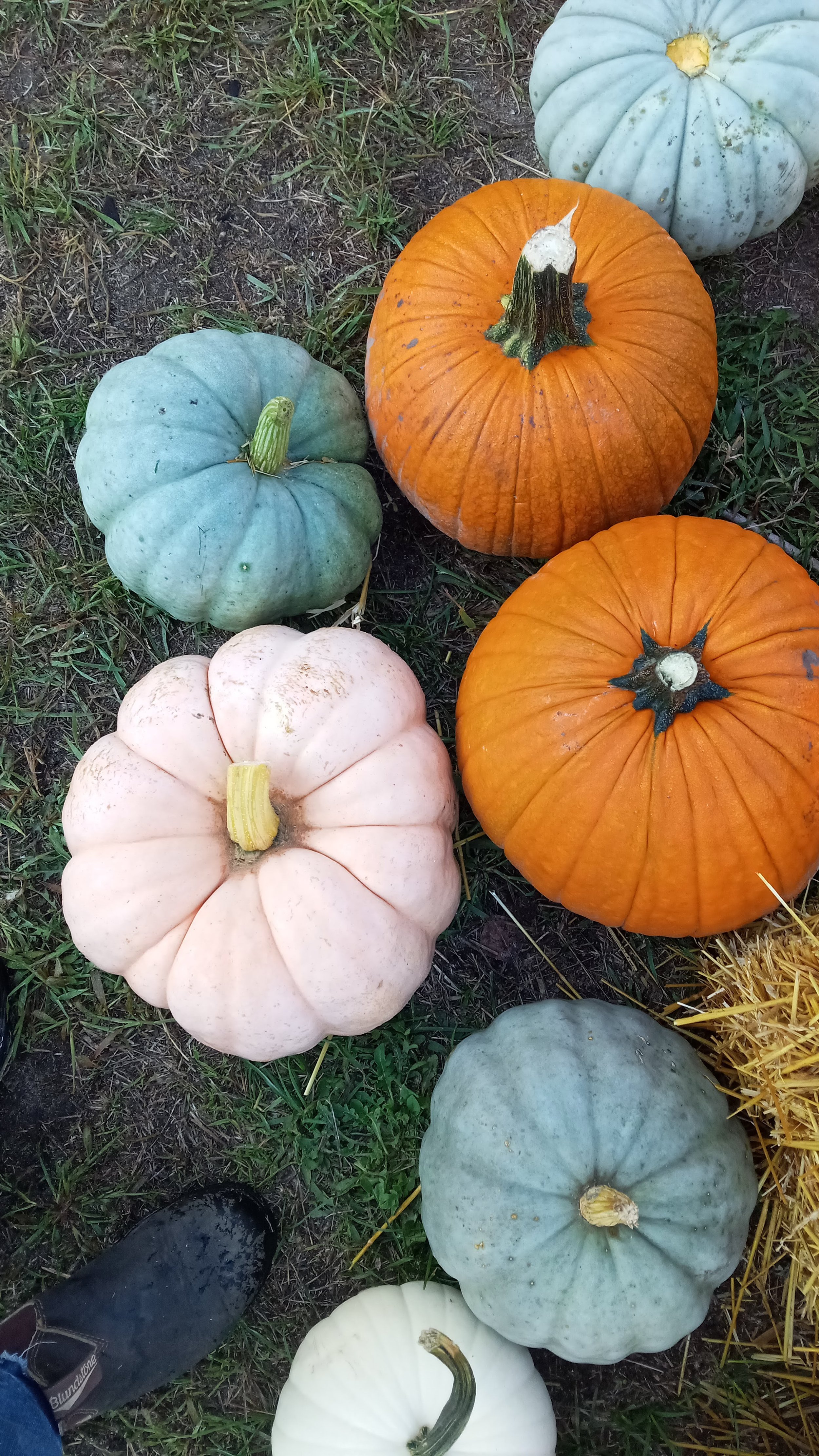 20210911_073010.jpg