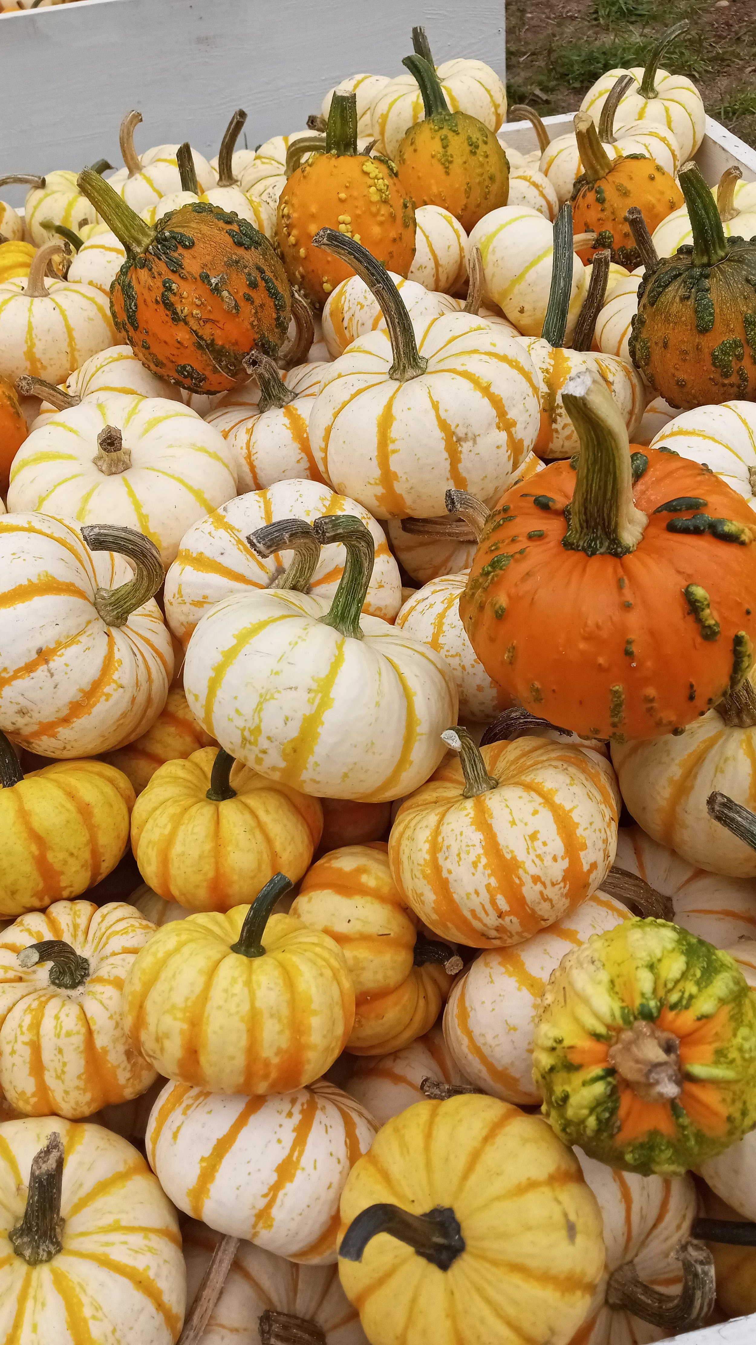20210903_161426.jpg