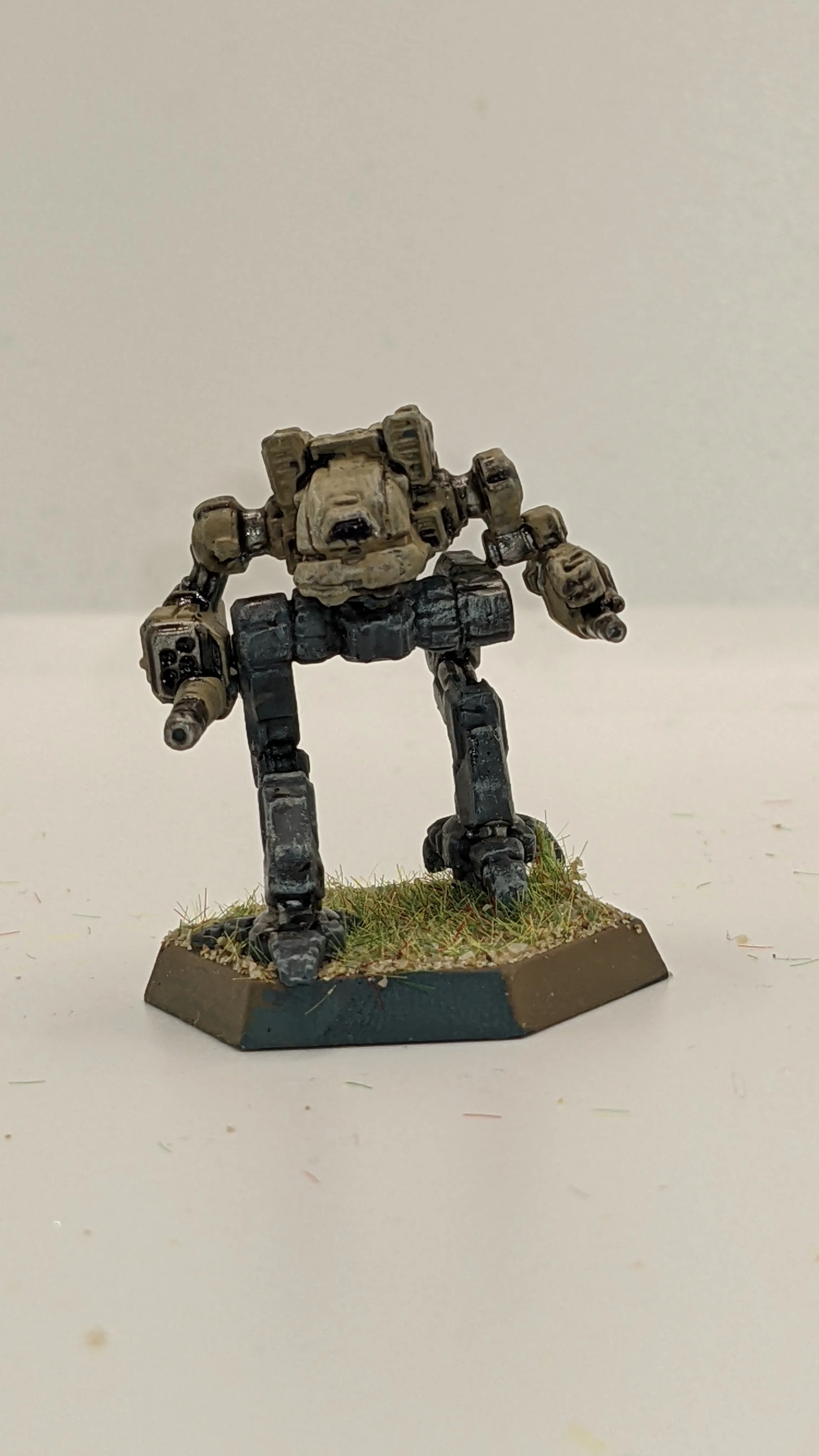 CWBGKitFox1.jpg