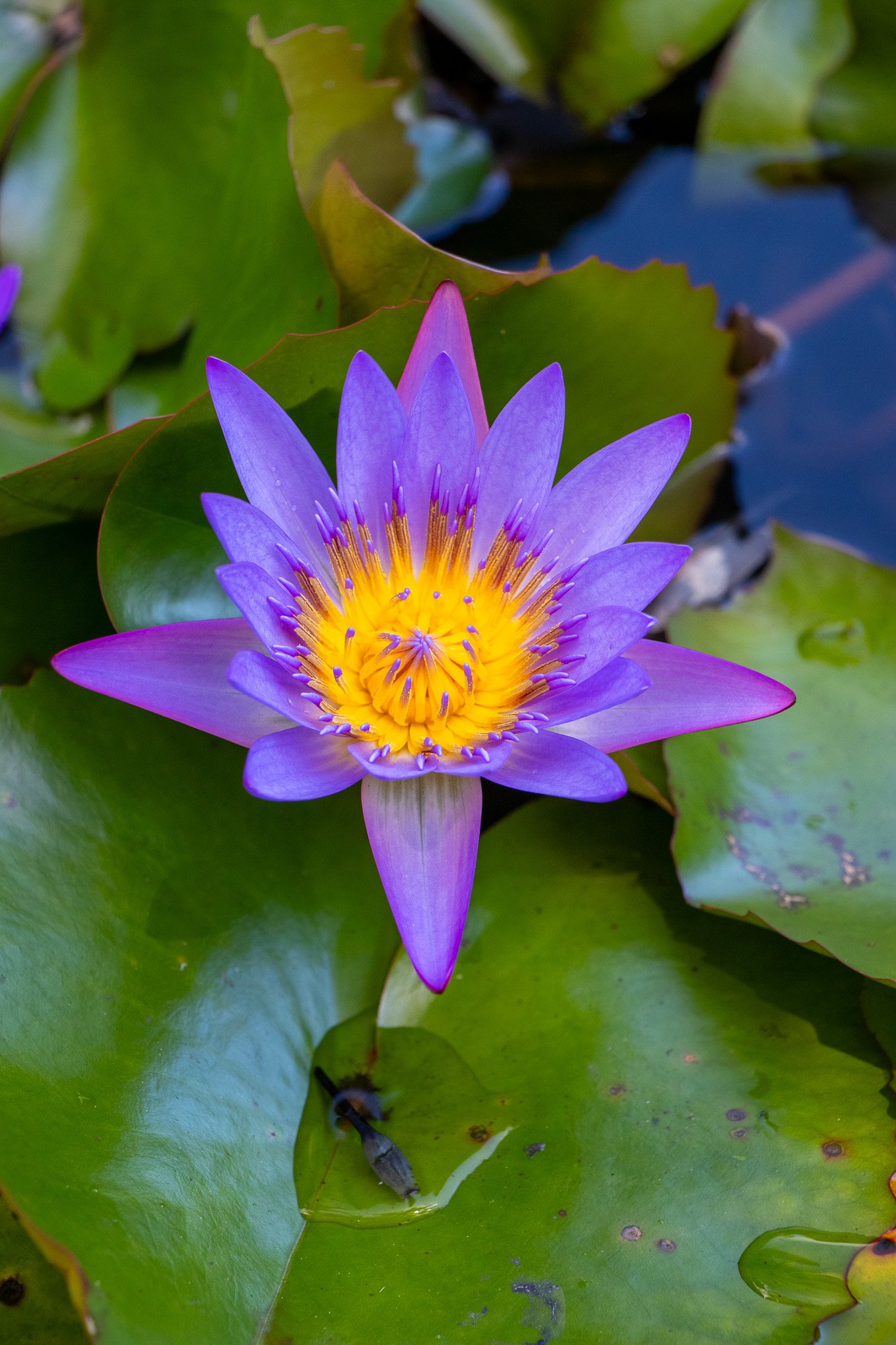 IMG_0530-2 Small.jpg