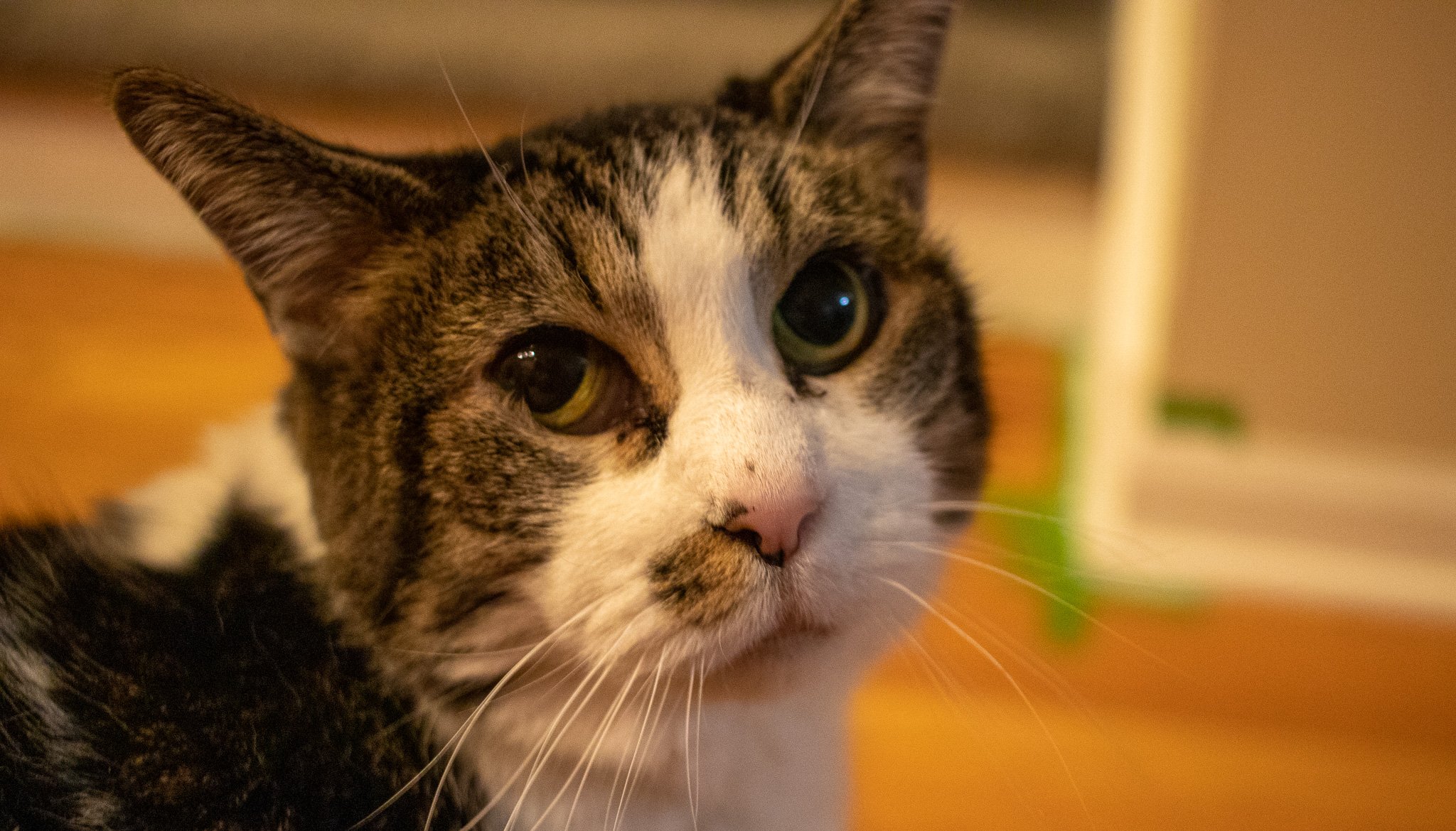 IMG_4564-2 Small.jpg