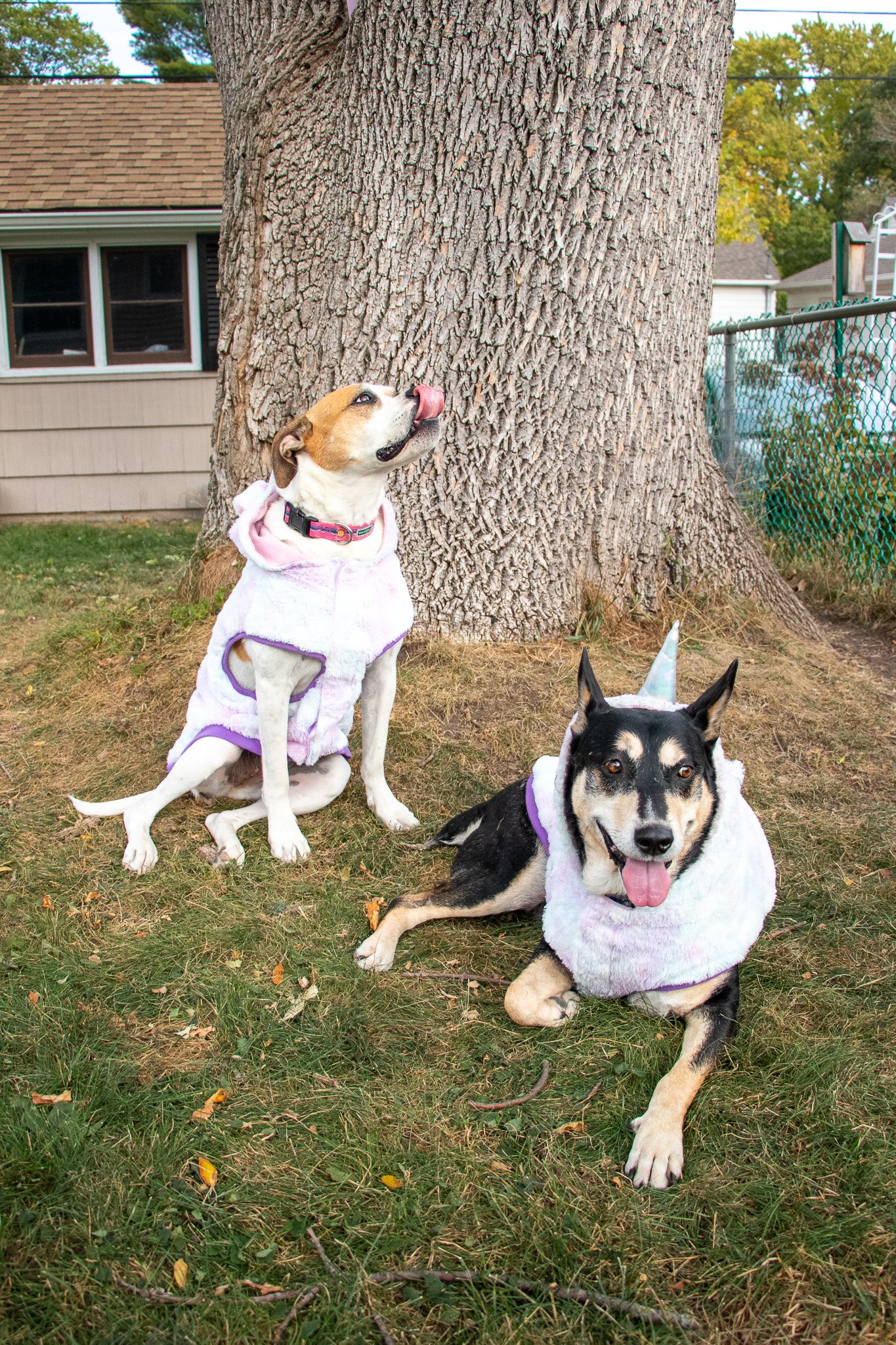 IMG_9717-2 Small.jpg