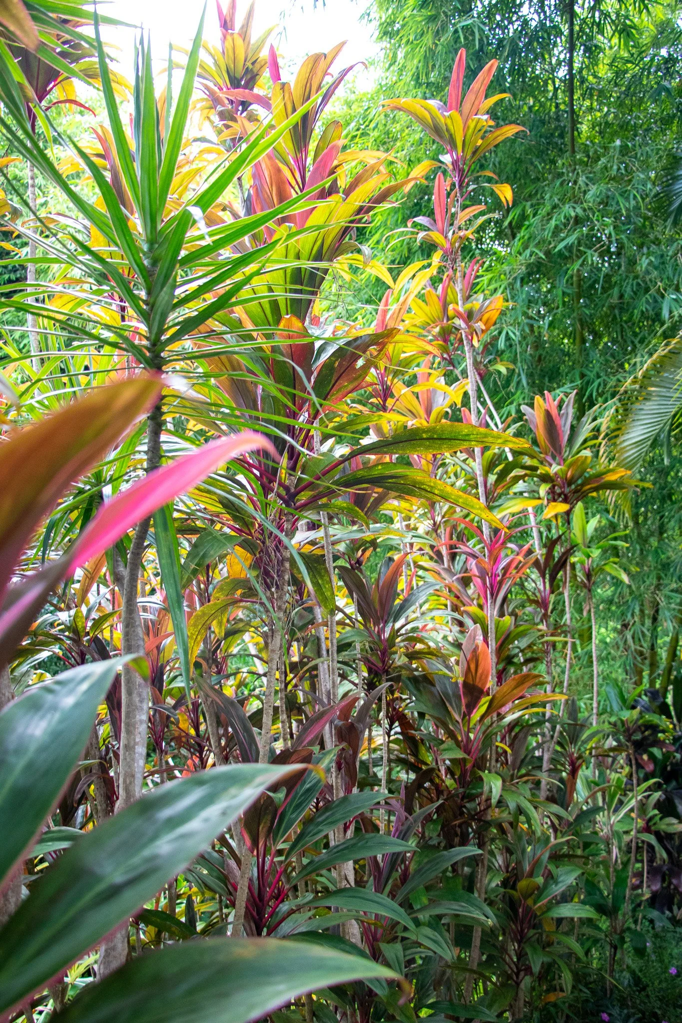 IMG_0461-2 Small.jpg