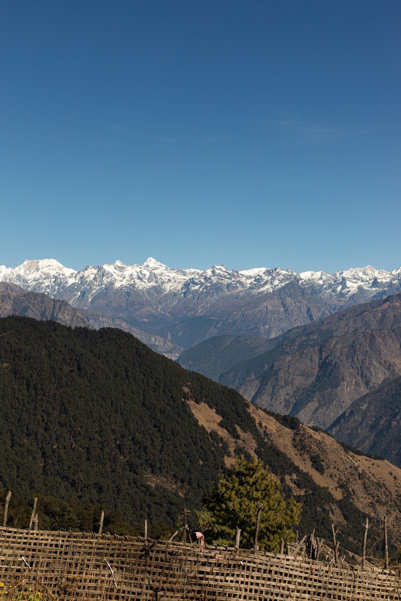 VMPage_Nepal_2025-158.jpg