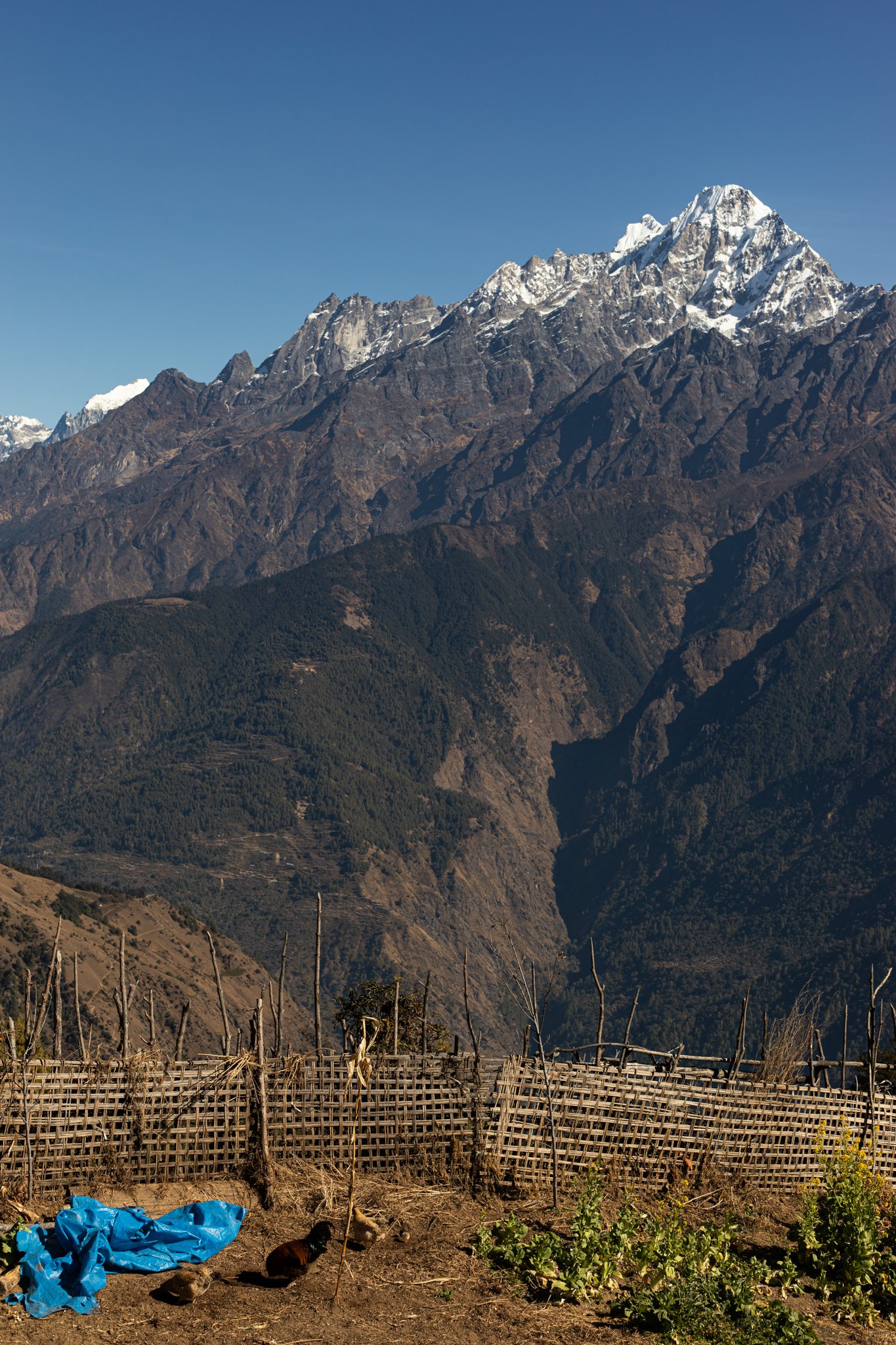 VMPage_Nepal_2025-157.jpg