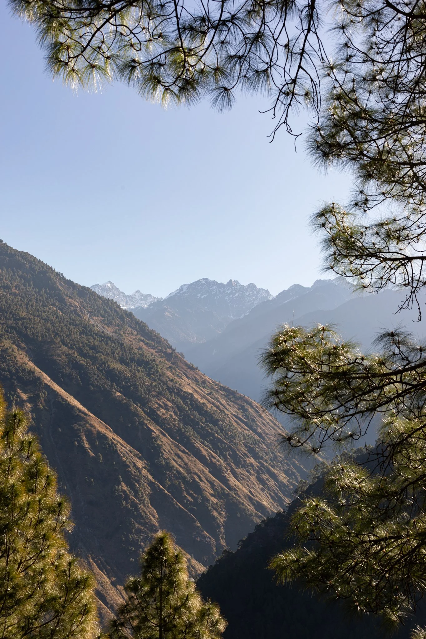 On the way to Sherpagaon