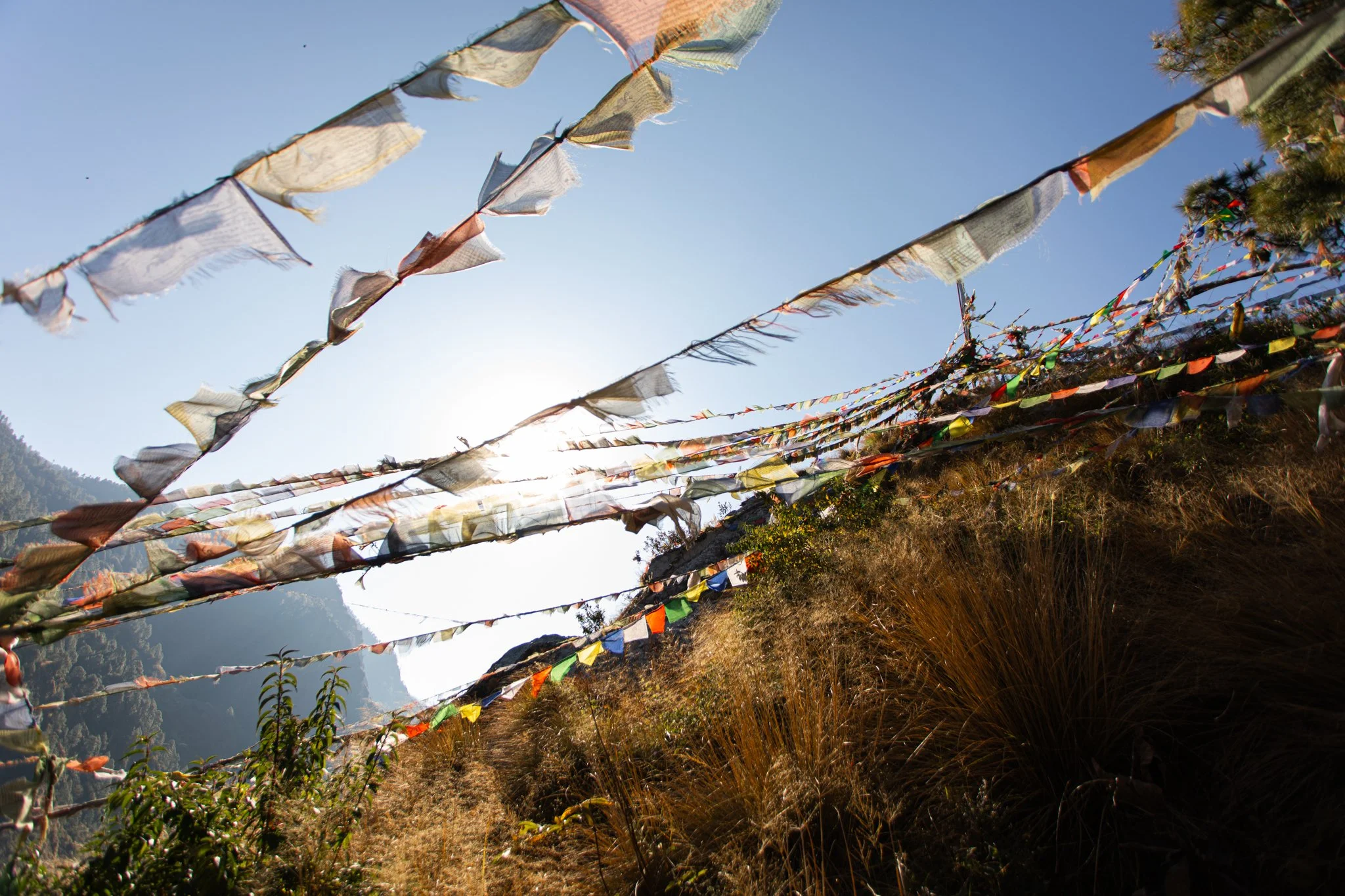VMPage_Nepal_2025-213.jpg