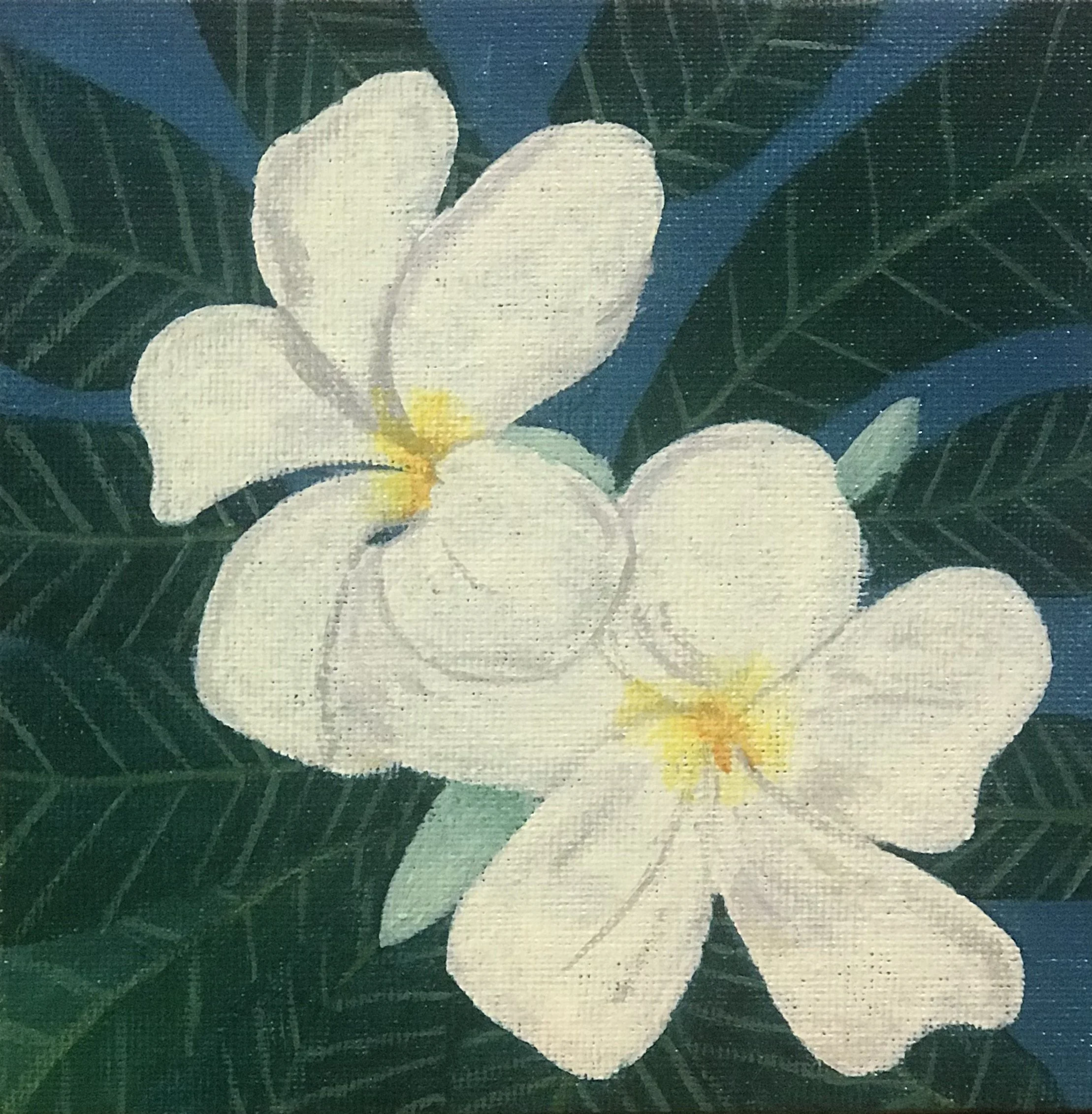 Plumerias (2019). Acrylic on canvas.