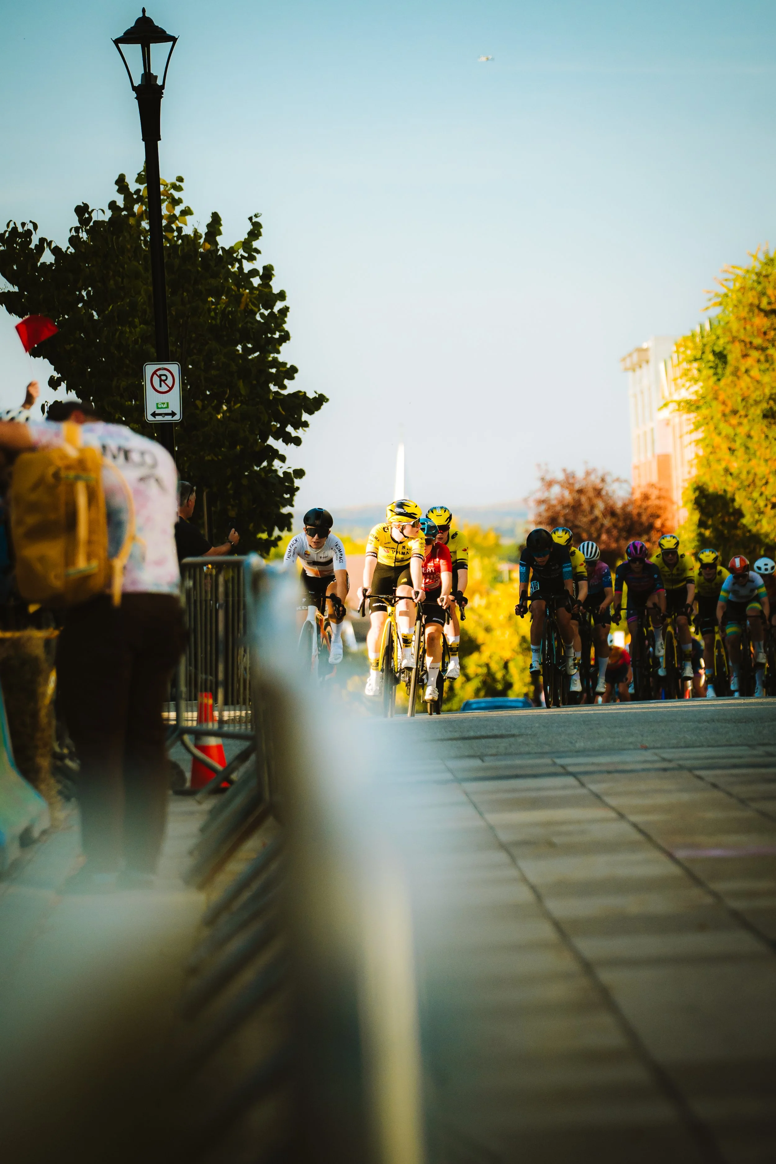 Cyclists participating in a race on a city street with trees and tall buildings in the background.