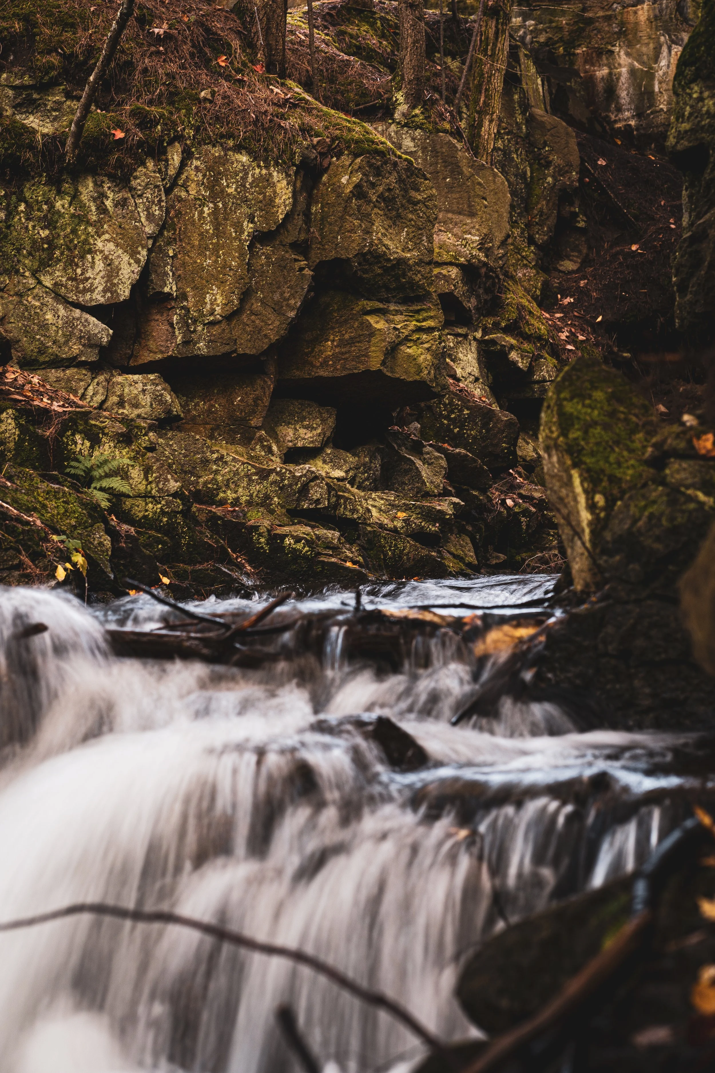 Gatineau Park - Fall 2021