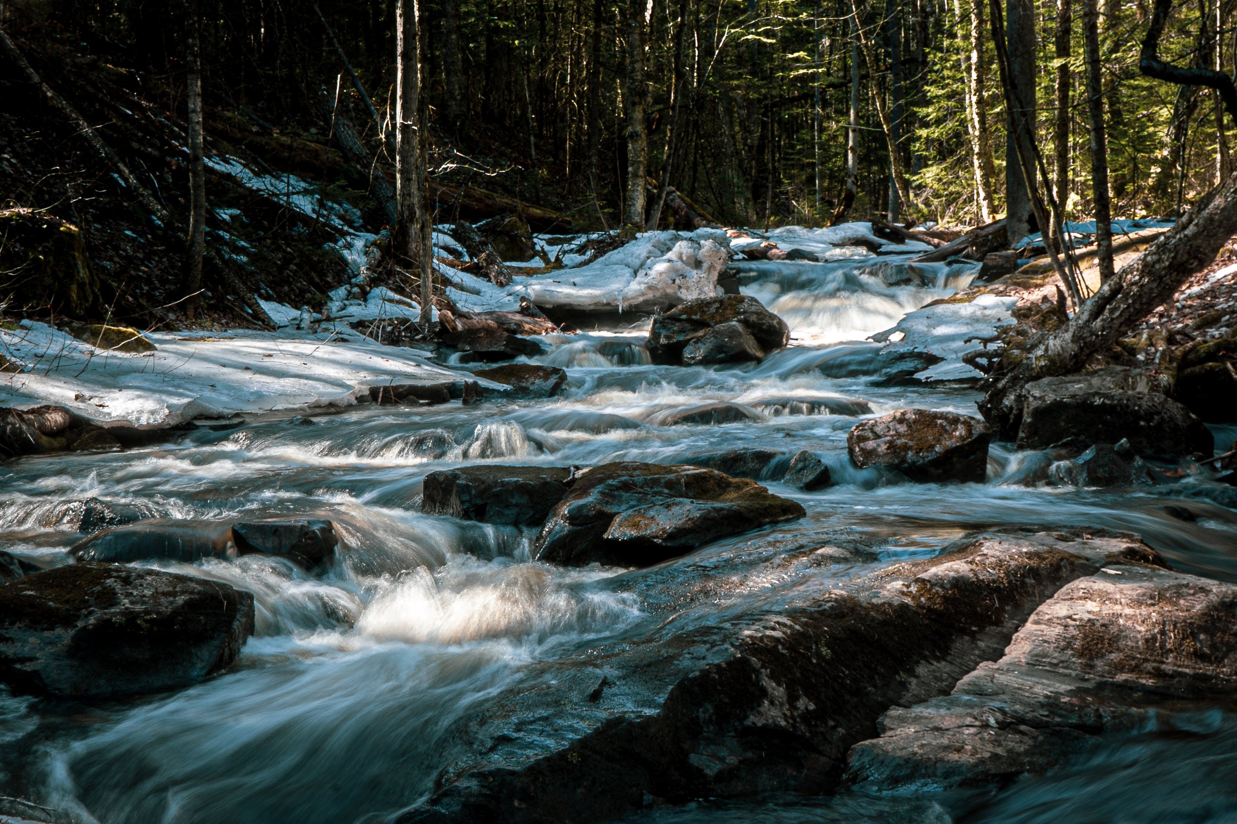 Kennedy Creek - Fall 2020