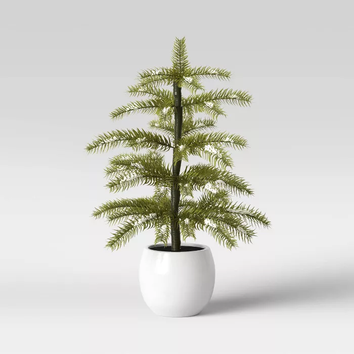 Downswept Tree - Threshold™.png