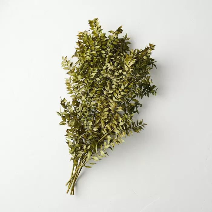 Preserved Green Ruscus Leaves Bundle - Hearth & Hand with Magnolia.png