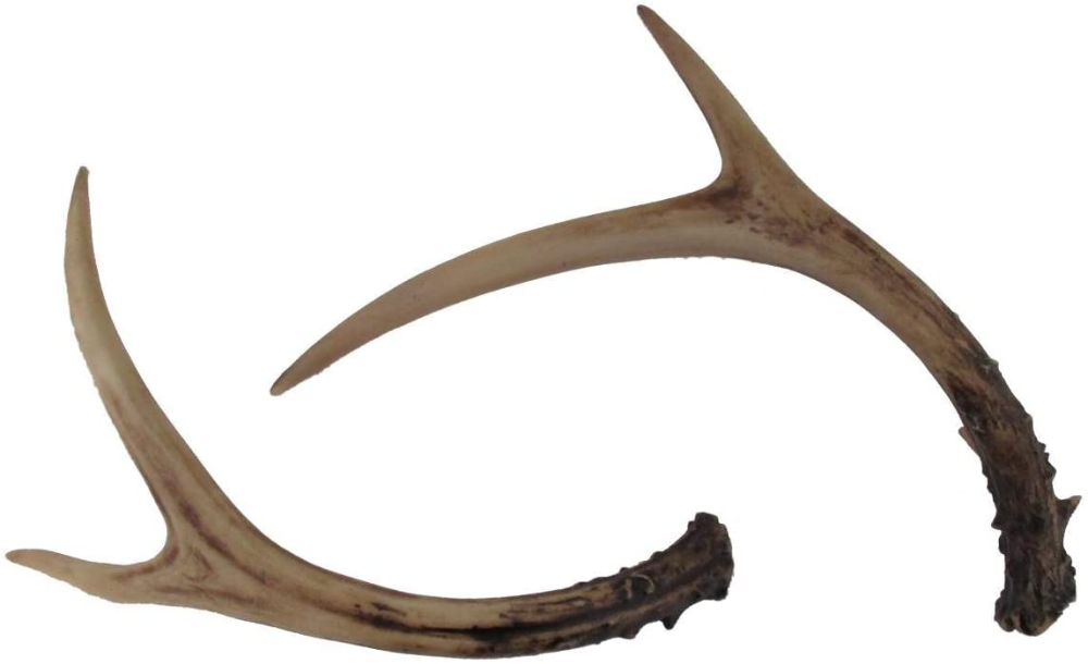 Amazon_com_ Whitetail Deer Antlers Set (2 Pack) Faux Resin Rustic Home Décor _ Home & Kitchen.png