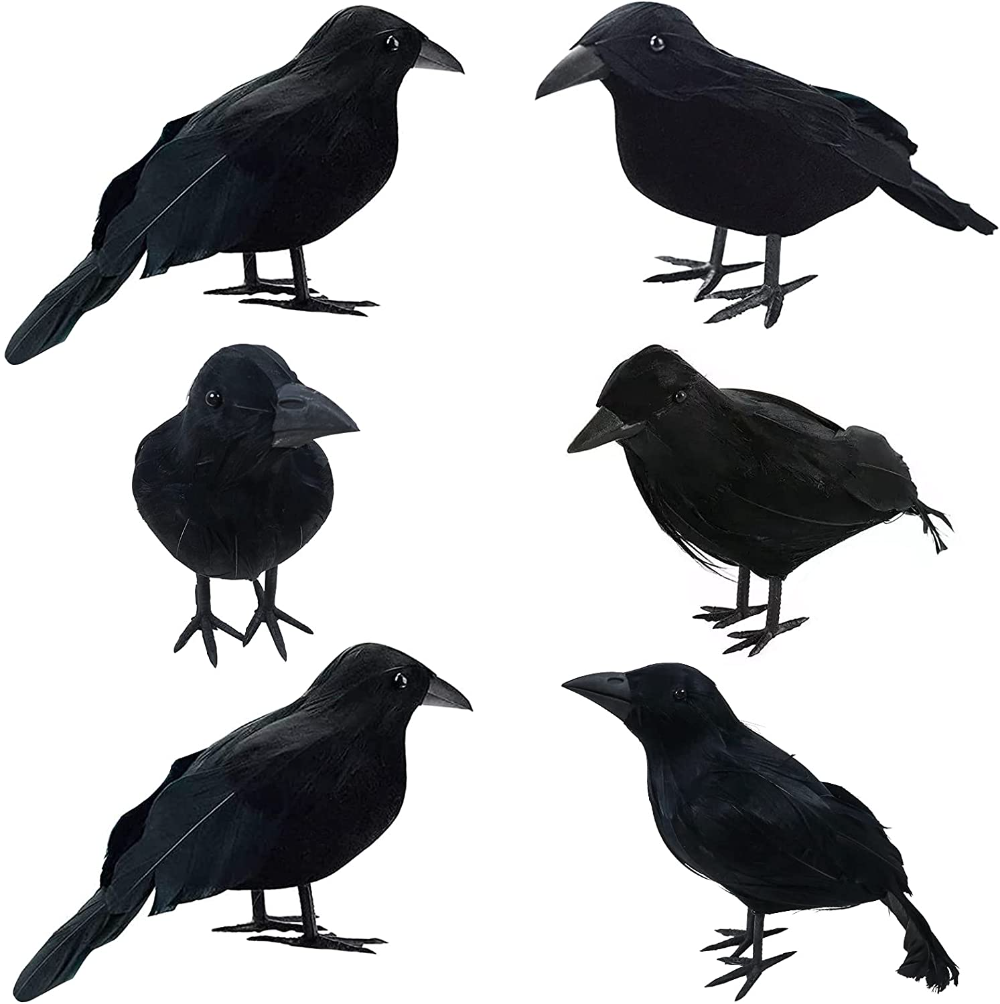 Amazon_com_ ALLADINBOX 6 PCs 9 Inch Halloween Black Feathered Crows Black Birds Ravens Props Décor Halloween Decorations Birds _ Everything Else.png