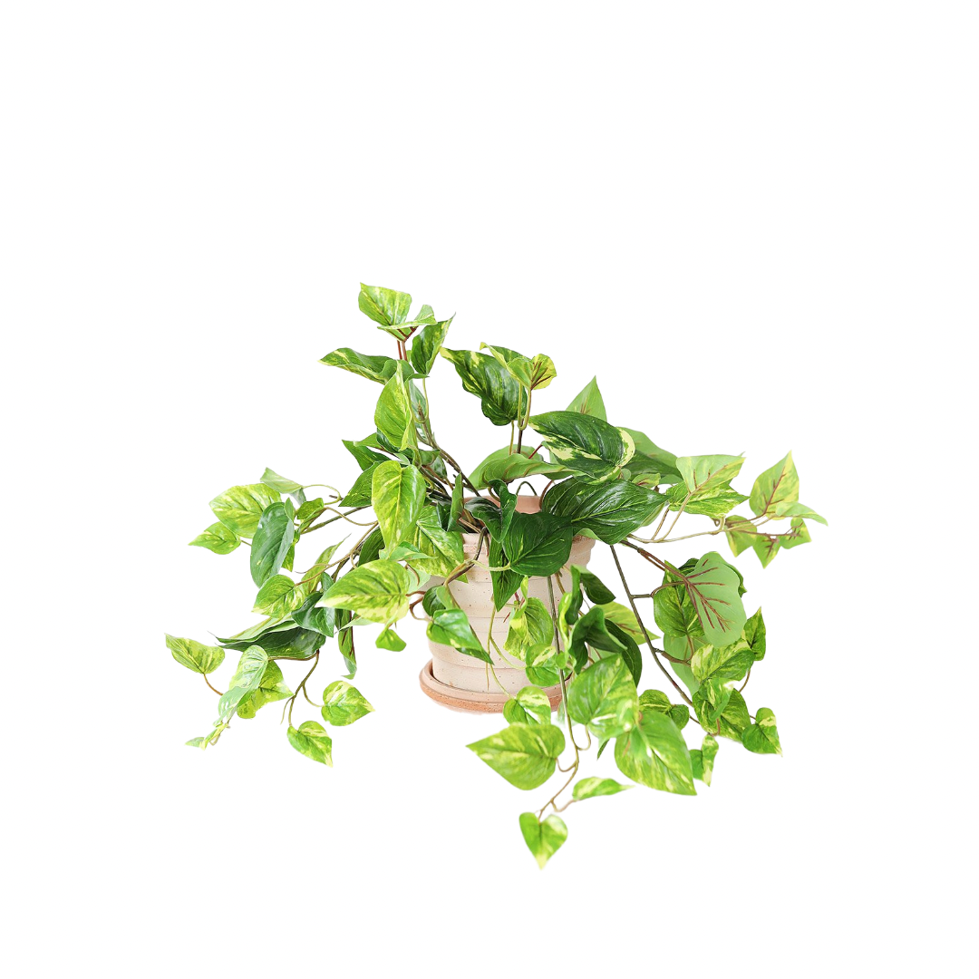 427A5BED-C66F-4FF2-9716-844D01550F49.png