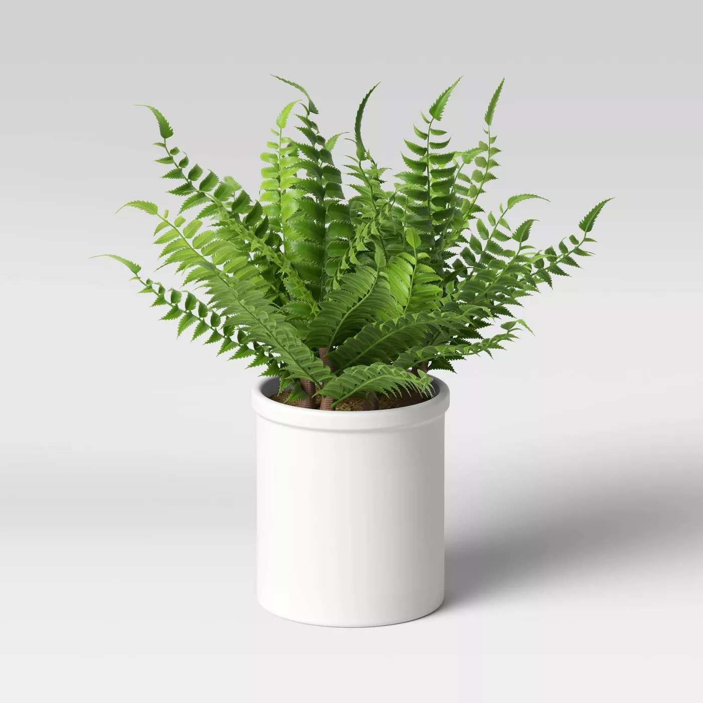 plant 3.png