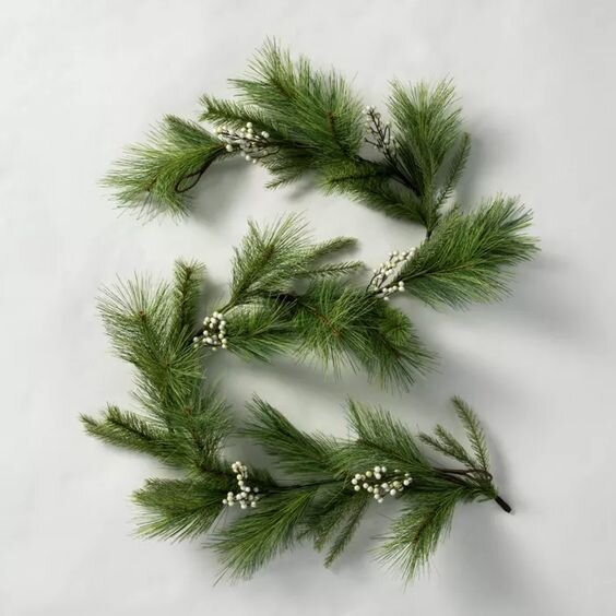 white berry pine.jpg