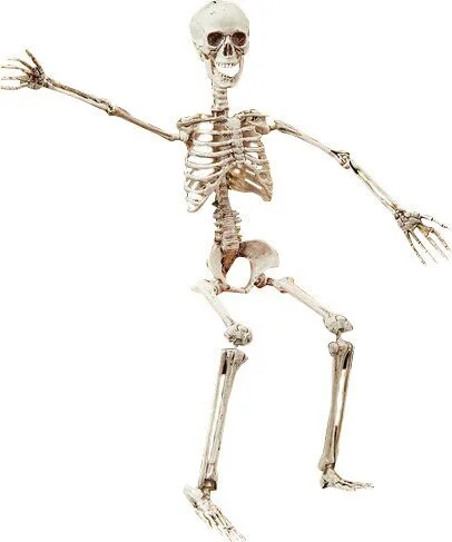 Posable+Skeleton+Figurine.jpg