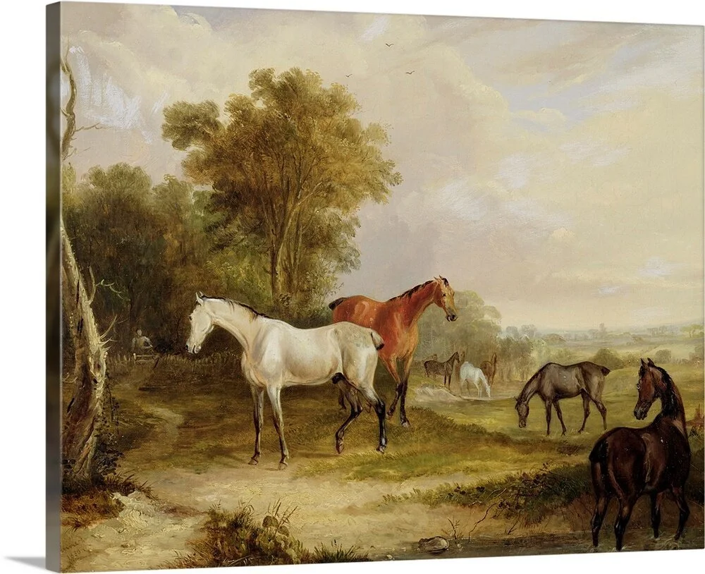 horses-grazing-a-grey-stallion-grazing-with-mares-in-a-meadow,2309720.jpg