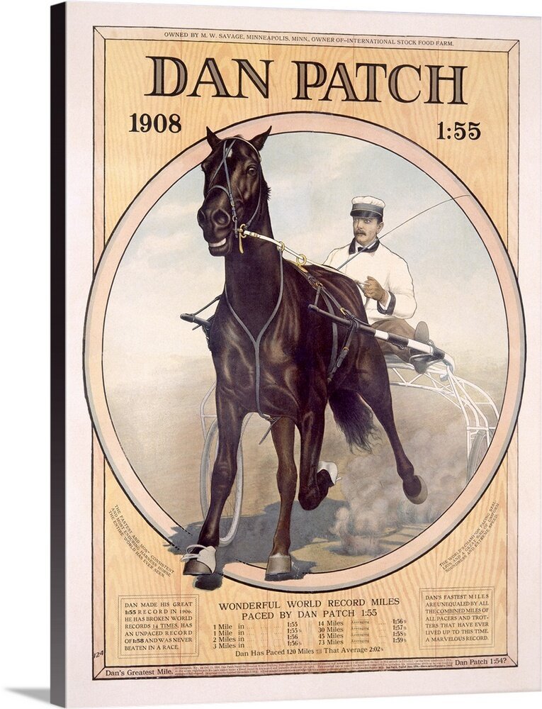 dan-patch-horse-with-wonderful-world-records-vintage-poster,ah5870-fin.jpg