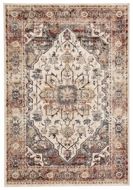 Wayfair World Medallion Rug.jpg
