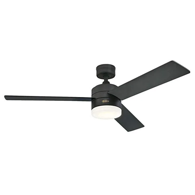61tcAZeAJLL._SX679_.jpg