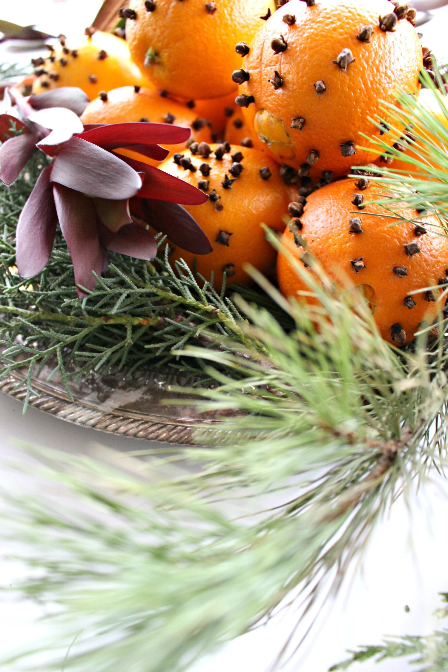 Orange + Clove Christmas Centerpiece — Gathered Living