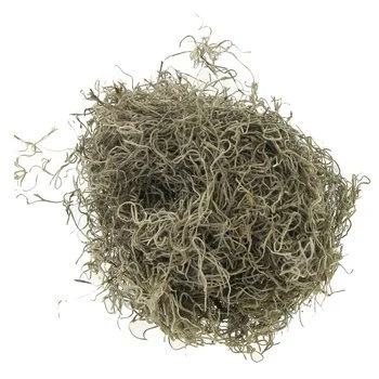 601526[5].jpg
