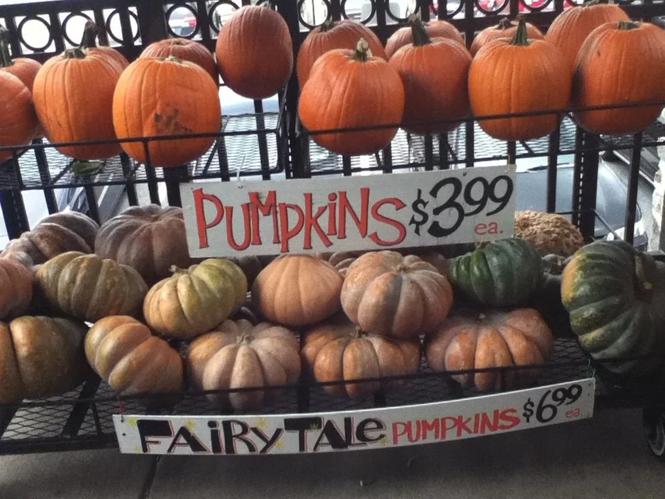 fairytale-pumpkins.jpg
