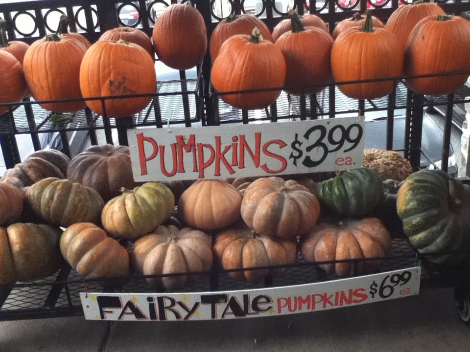 fairytale-pumpkins.jpg