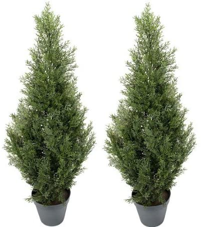 Amazon_com+-+TWO+Pre-potted+3'+Artificial+Cedar+Topiary+Outdoor+Indoor+Tree+-+Fake+Christmas+Trees+Outdoor.png