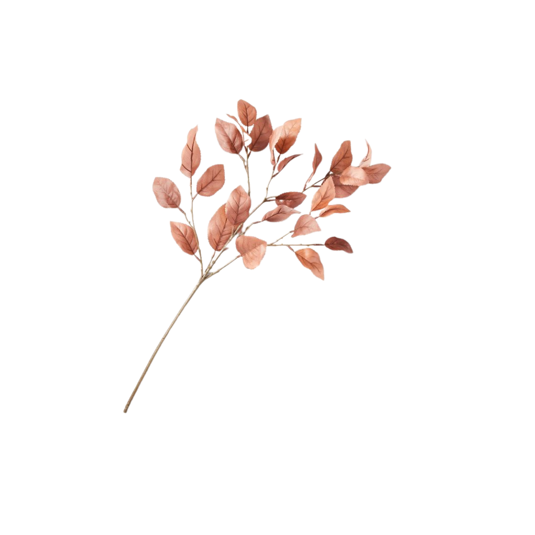 24.png