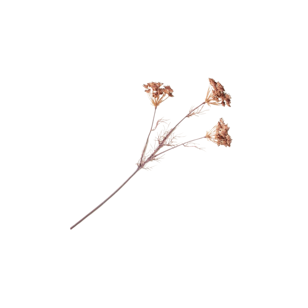 25.png