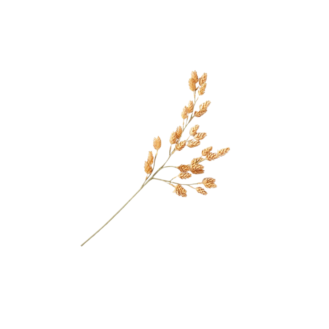 72.png