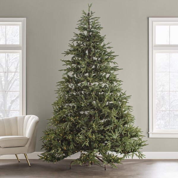 Jersey Fraser Green Realistic Artificial Fir Christmas Tree with Lights