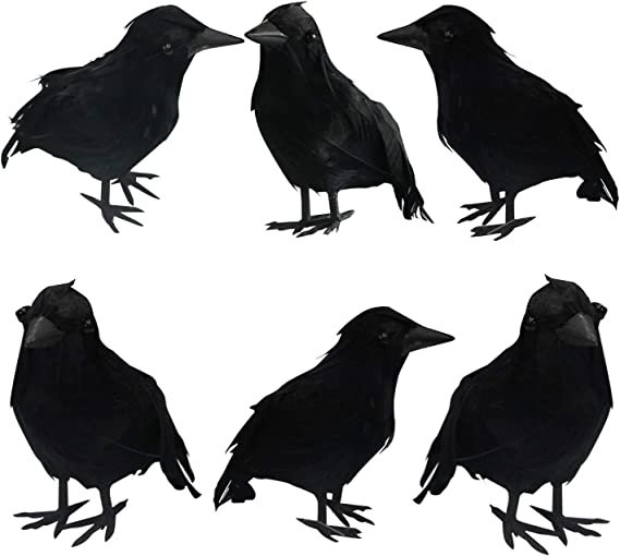 FUNPENY Halloween Black Feathered Crows, Lifelik Halloween Decoration Birds with Real Feather (6 Pack)
