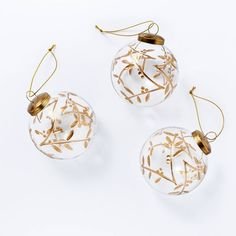 Set of 3 Glass Botanical Ornaments - Threshold™ designed with Studio McGee