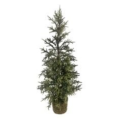 3ft. Pine Tree in Basket by Ashland®