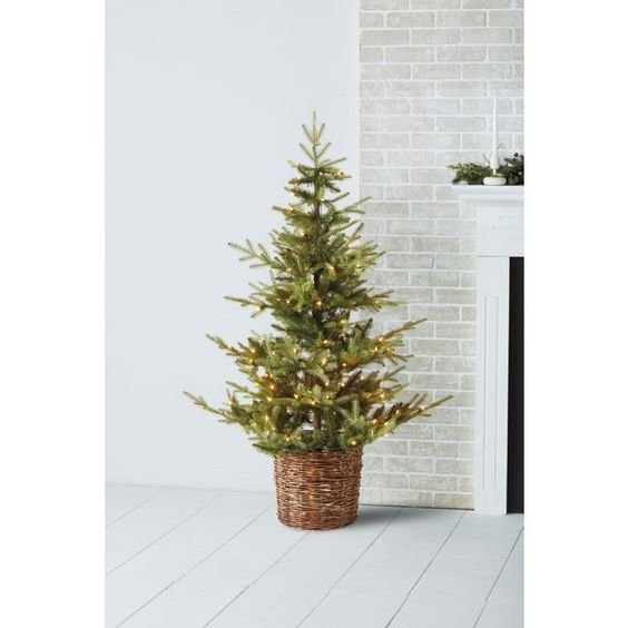 Bee &amp; Willow™ 5-Foot Fir Pre-Lit Artificial Christmas Tree in Green