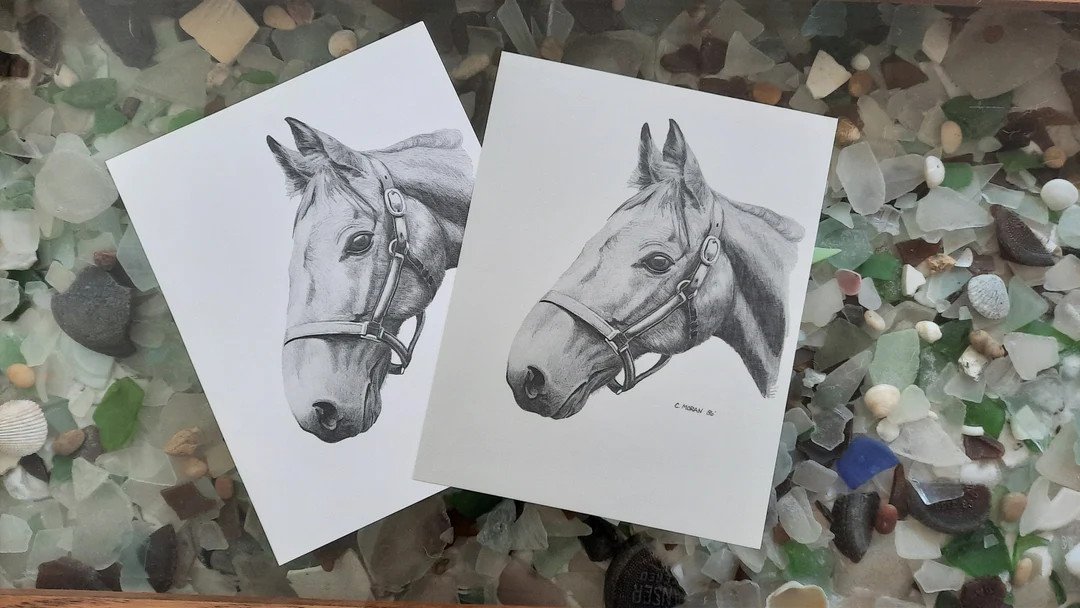 Horse Drawing Print 8x10 Print Artwork Horse Art - Etsy