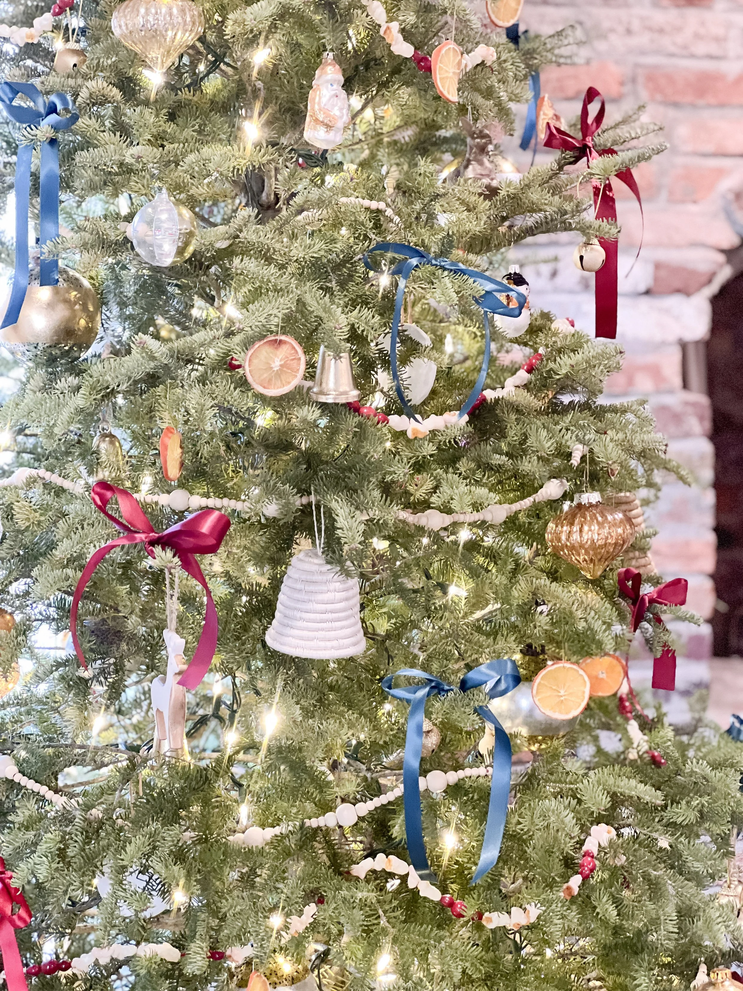 256-IMG_9779.jpg