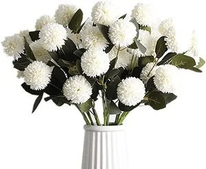 3ffd1c579a5832dc44572b398ba2fb4f.jpg