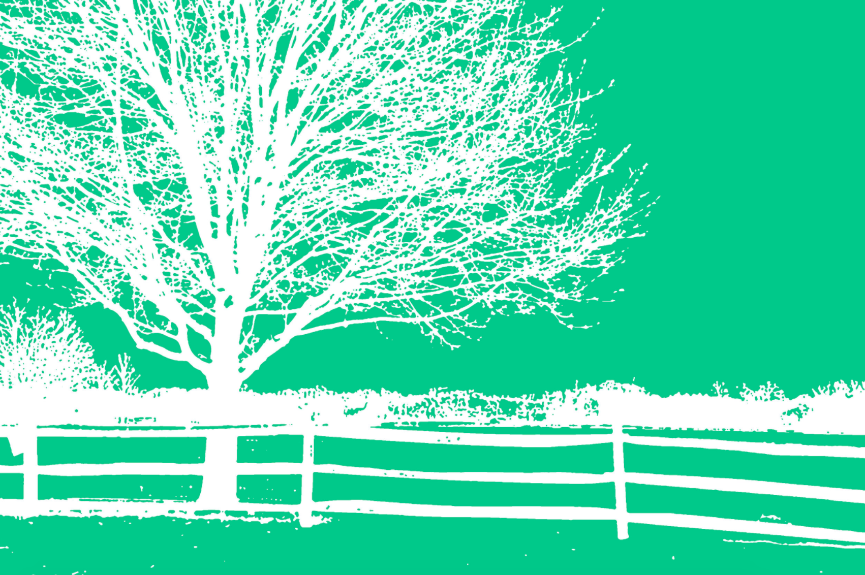 Screen Shot 2021-10-20 at 1.23.17 PM.png