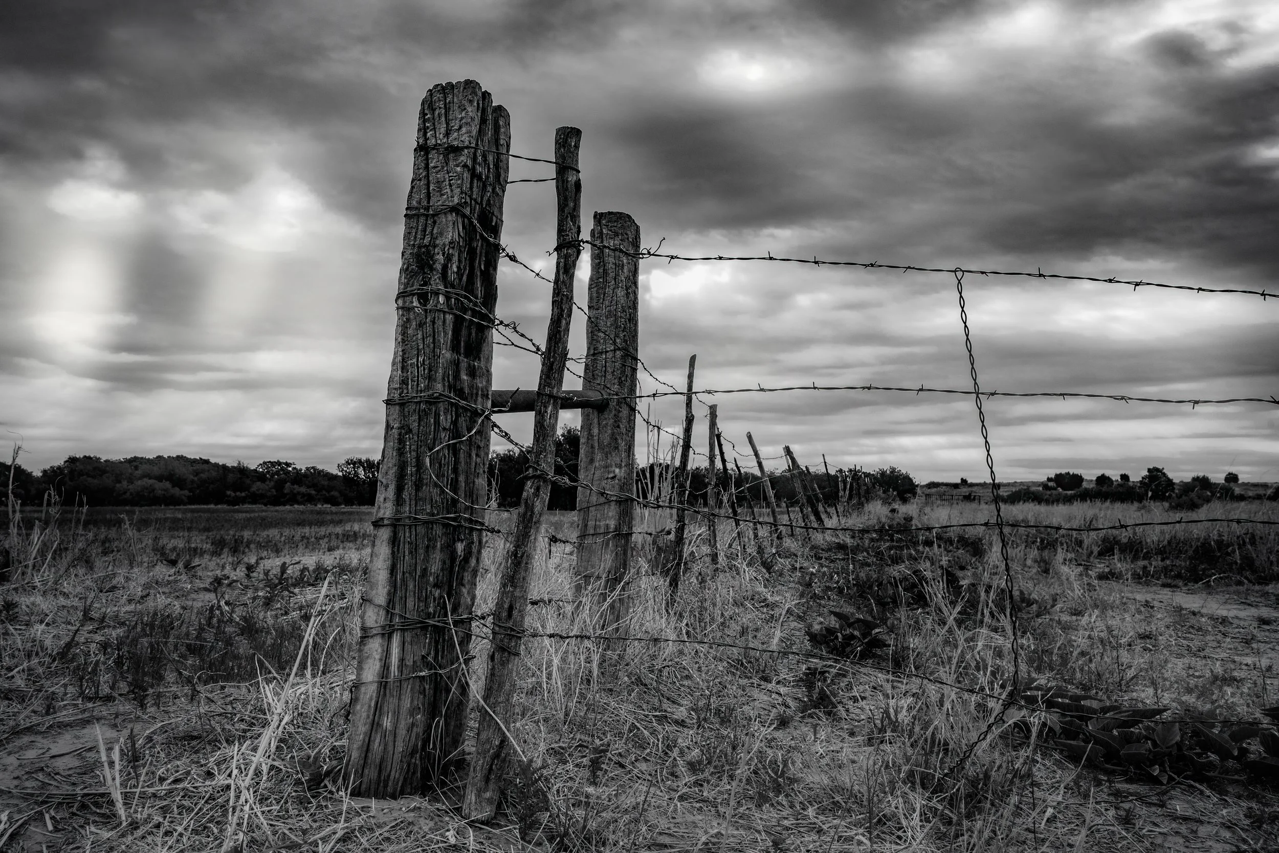 Overcast-Light.jpg