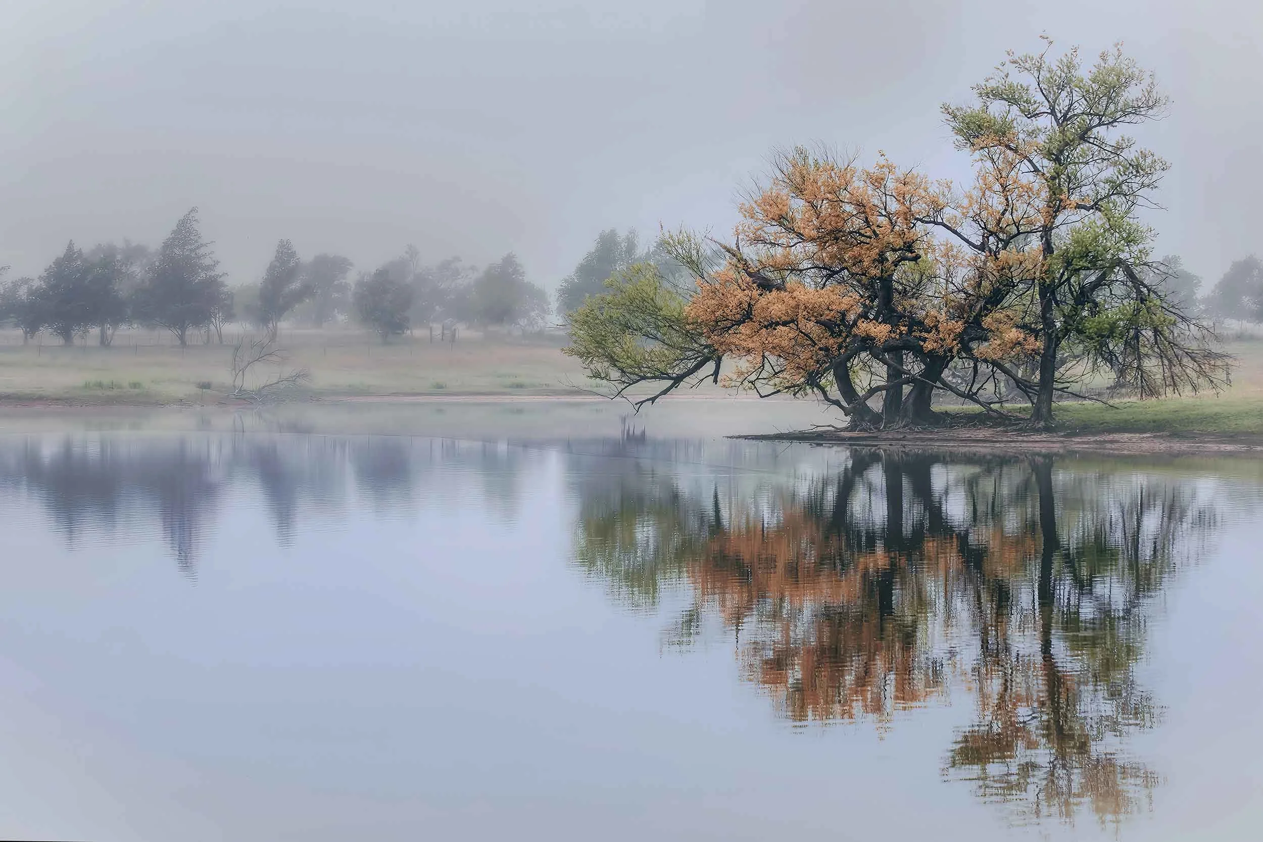 Veiled-Oasis-9x6.jpg