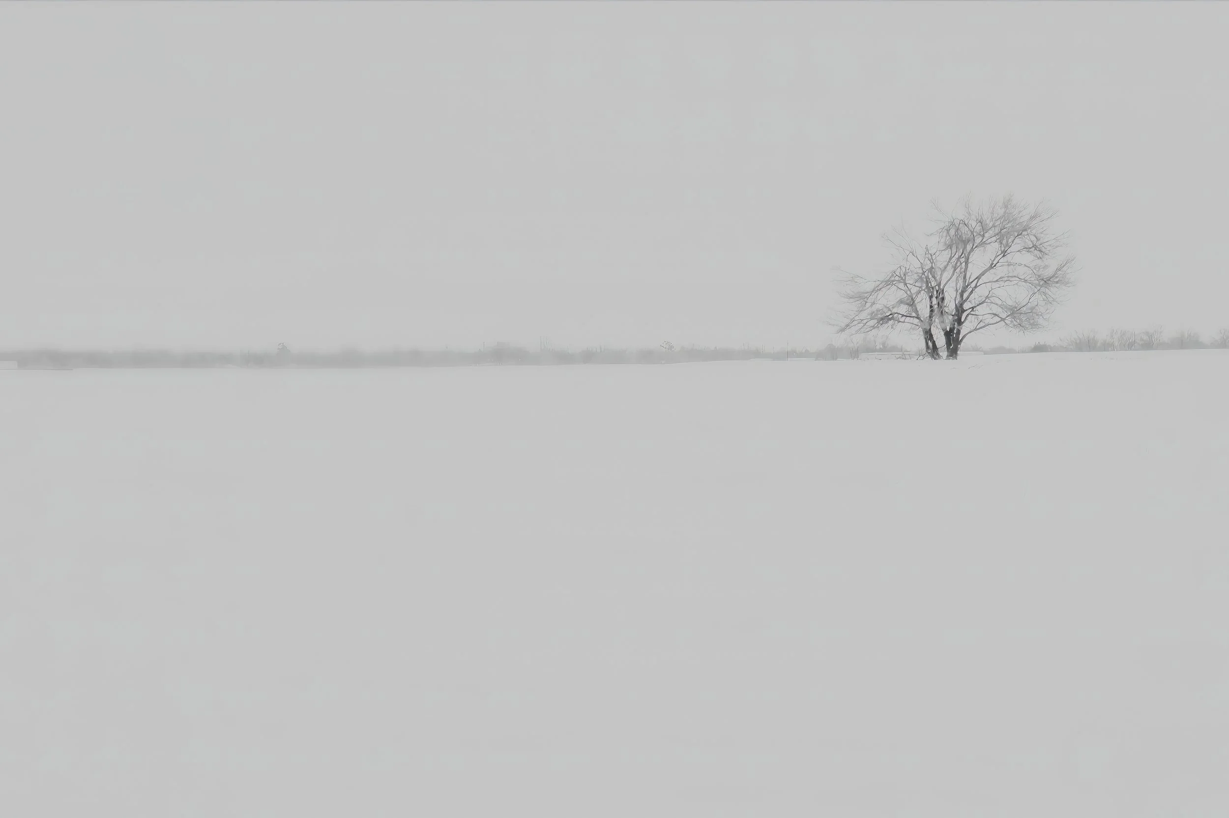Minimal Snowscape