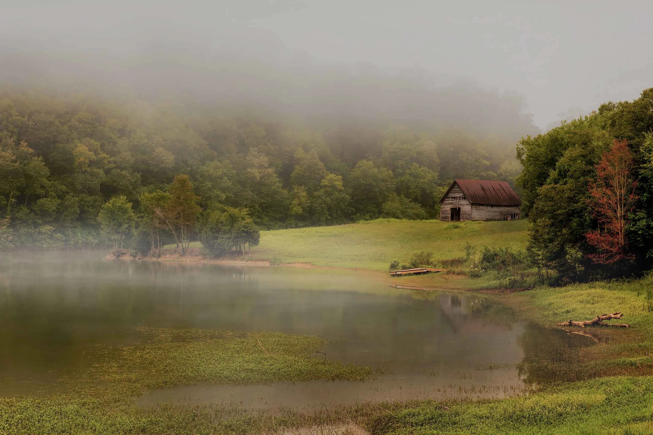 Morning-Reflections-9x6.jpg