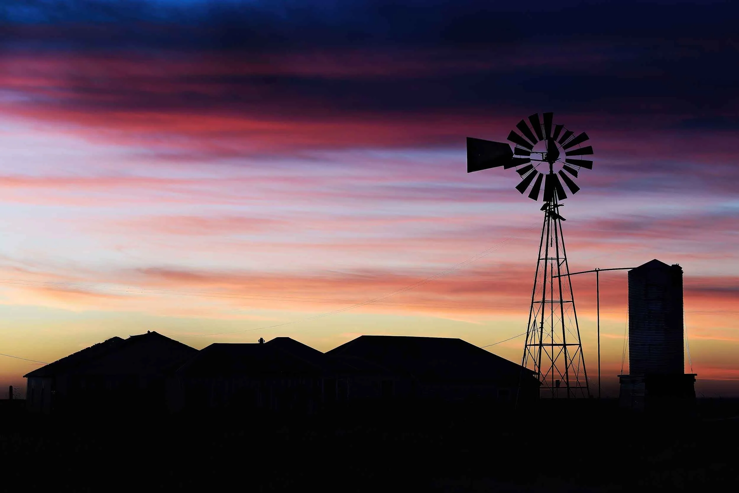 Silhouette-of-Decay-9x6.jpg
