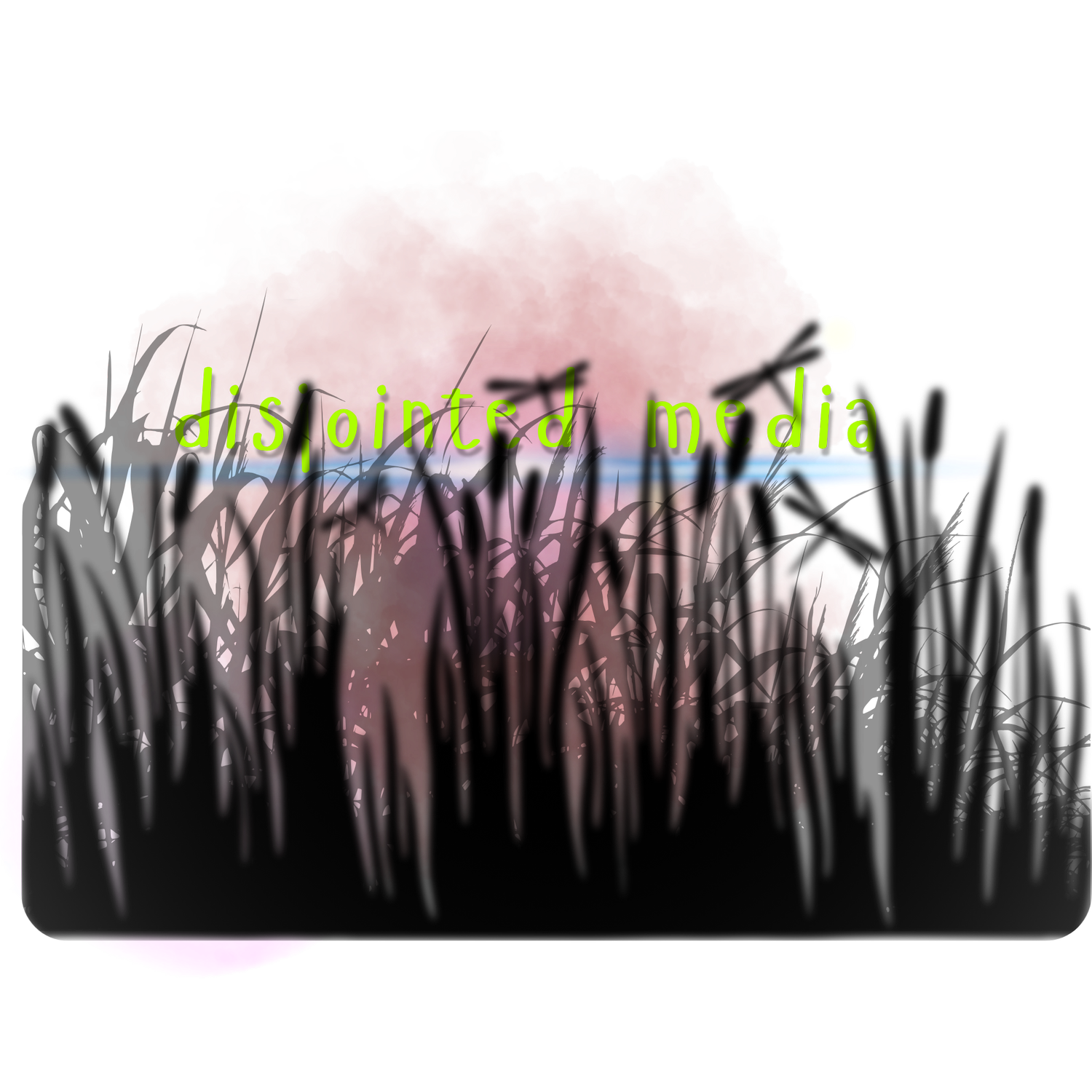 disjointed media